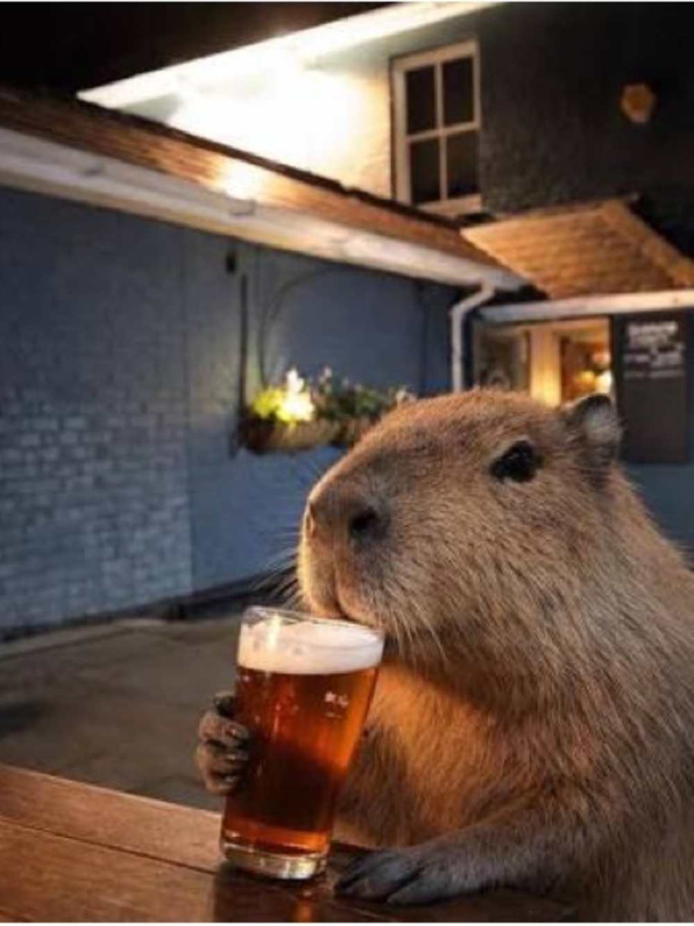 CAPY BE DRUNK BAGS